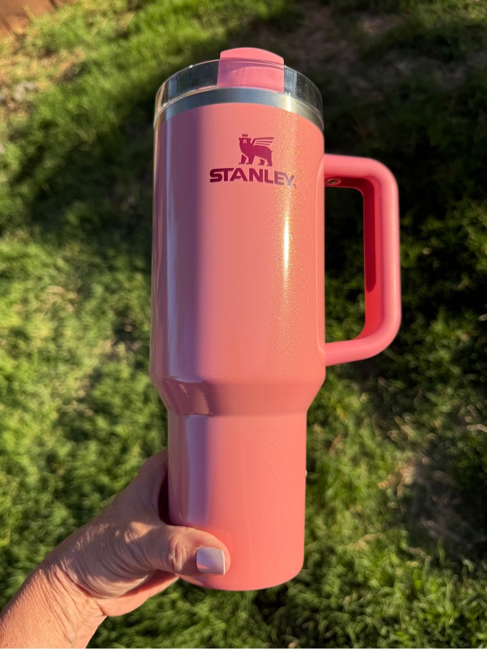 Stanley Winter Berry Shimmer 40oz Quencher